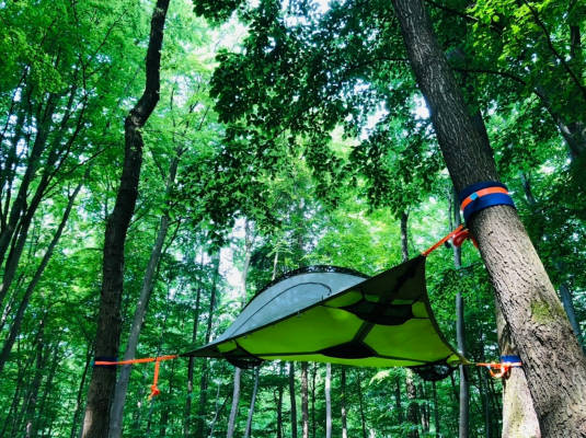 Schweben im buchengrun