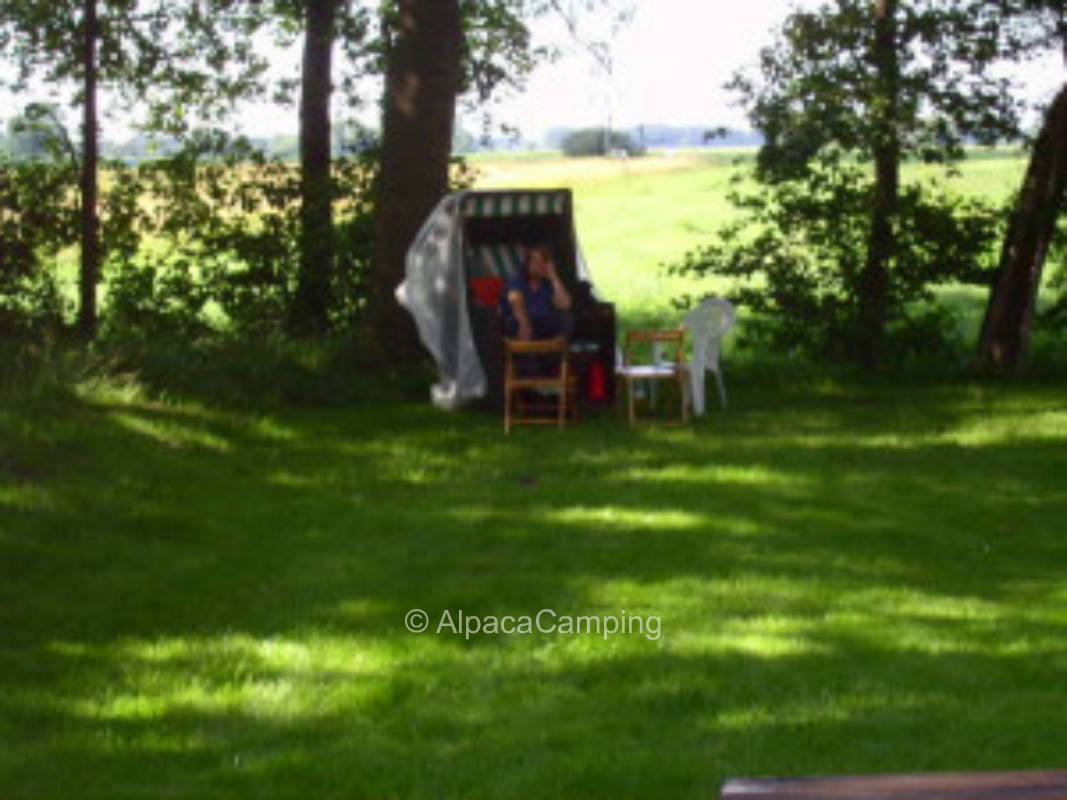 calm -simple - free #1