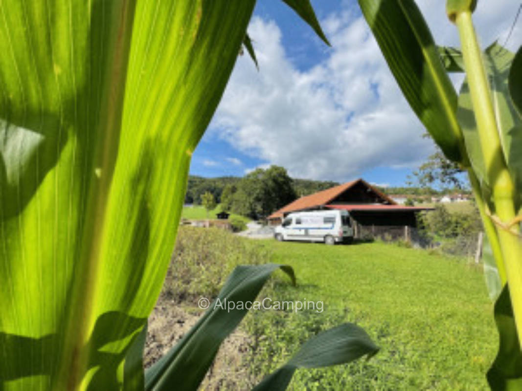 Pitch in Schlößbach #2