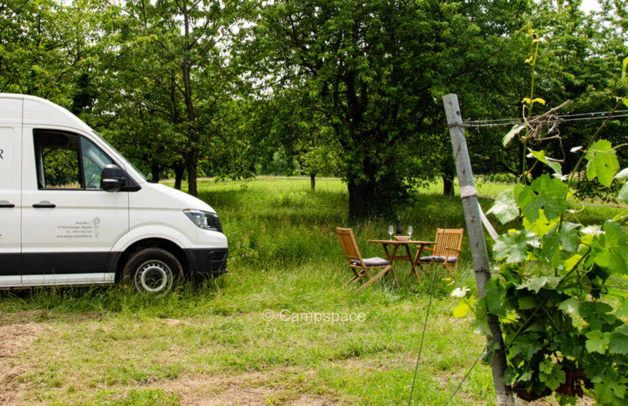 Weingut Sommerhalter – Erlebe die Ruhe der Weinberge