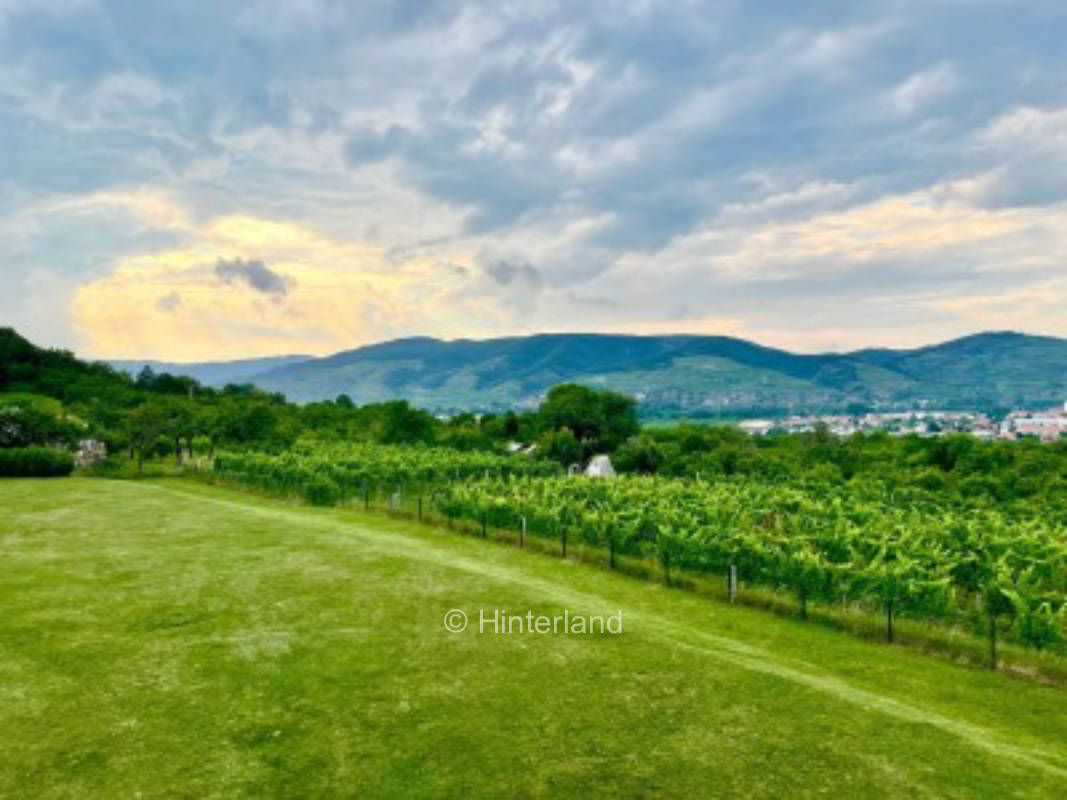 Großzügiger Platz mit Ausblick über die Weinberge