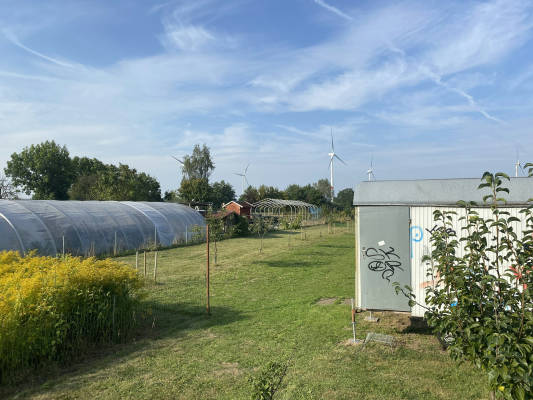 Wiese hinterm haus