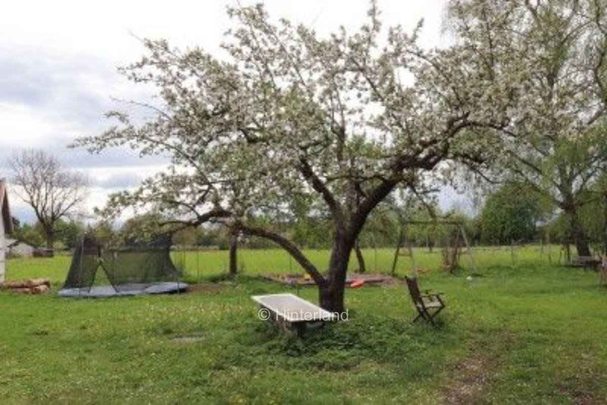 Bei Haus und Hof im Allgäu, privater Stellplatz