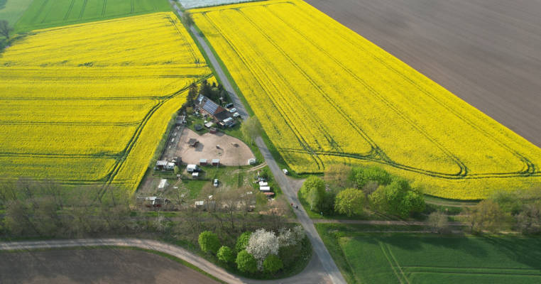 Huskyfarm in absoluter Alleinlage