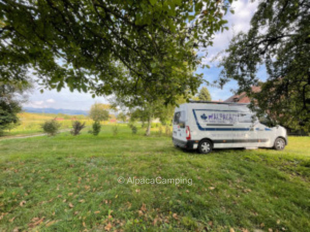 Unter Bäumen auf einer idyllischen Wiese hinter einem Weingut #3