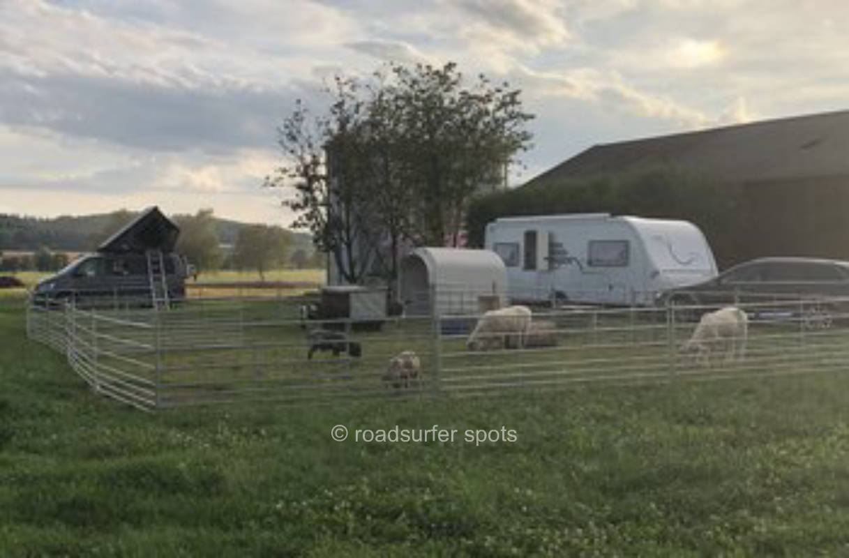 Säntisblick, Wiese mit Blick auf die Berge 