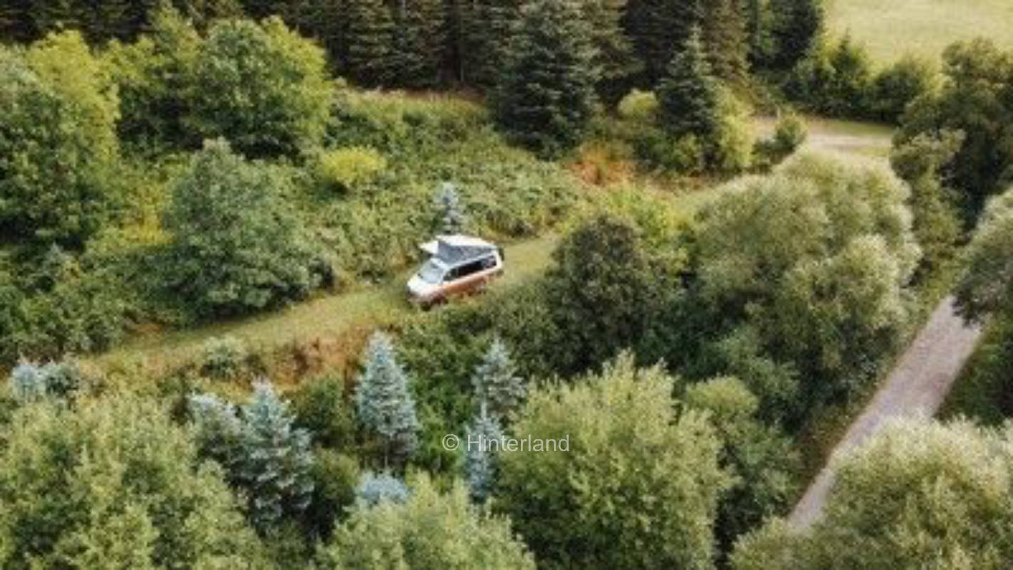 Zollernalb - Pitch in the forest