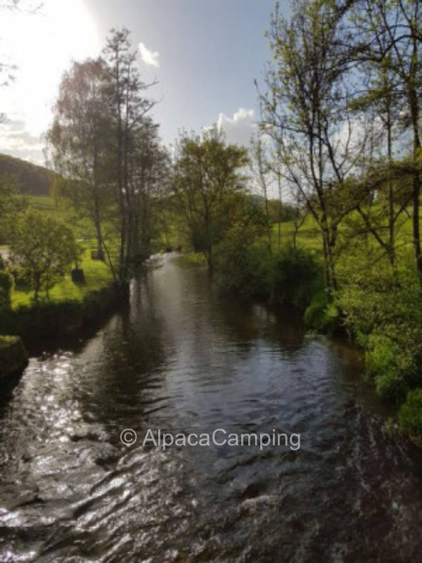 Pitch no. 1 on the meadow with direct access to the Eifel river Enz