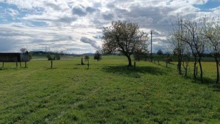 Pasture camping in the Allgäu near Kempten