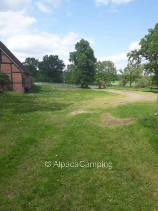 Zwischen Kühen und Enten #1