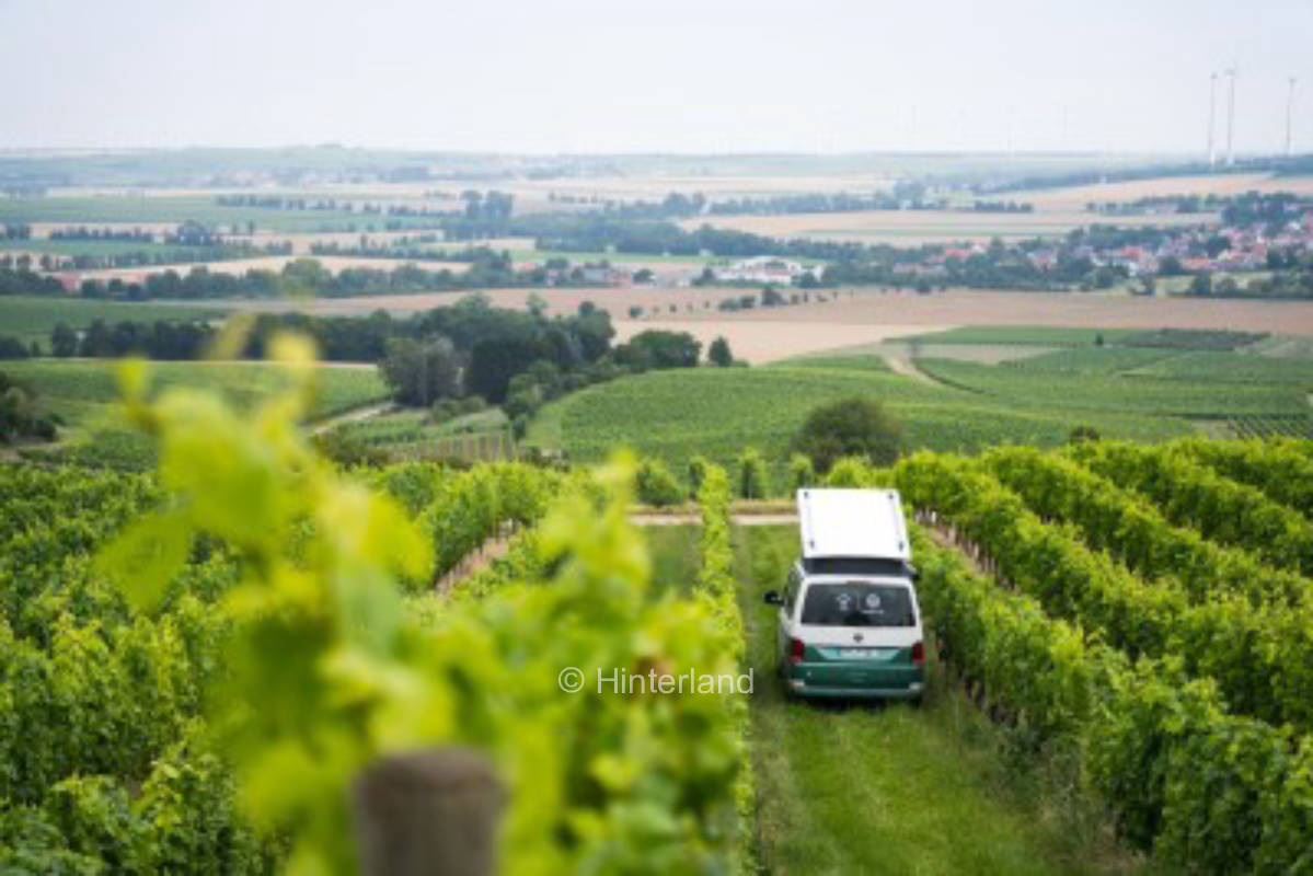 The best location in Rheinhessen's vineyards