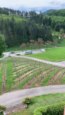 Quiet place below a winery in Durbach