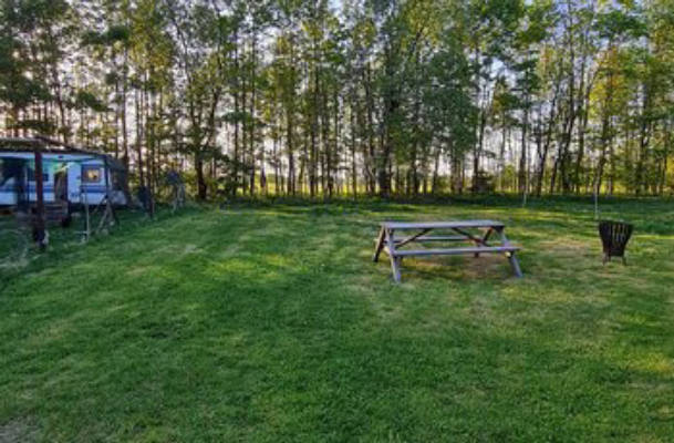 "Ollywood" - forest and meadow place in quiet location