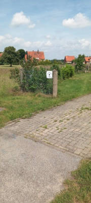 Sonnenbaden auf der Wiese, mit Hase und Elster 
