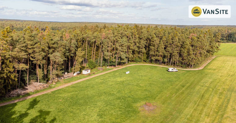 Wiese auf einer Waldlichtung im Fränkischen Seenland