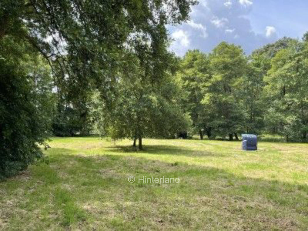 Auszeit auf wilder Wiese im Soestetal