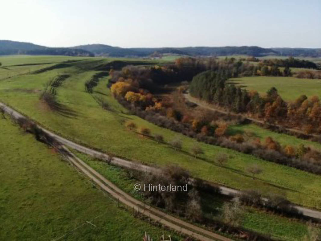 Meadow pitches on organic farm