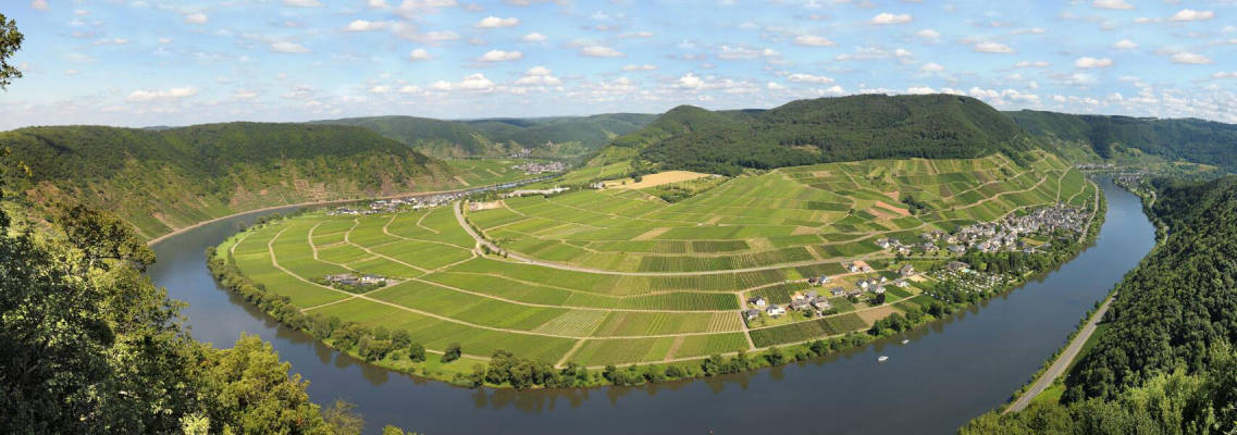 Pitch with a view of the Moselle (Campspace 4299)
