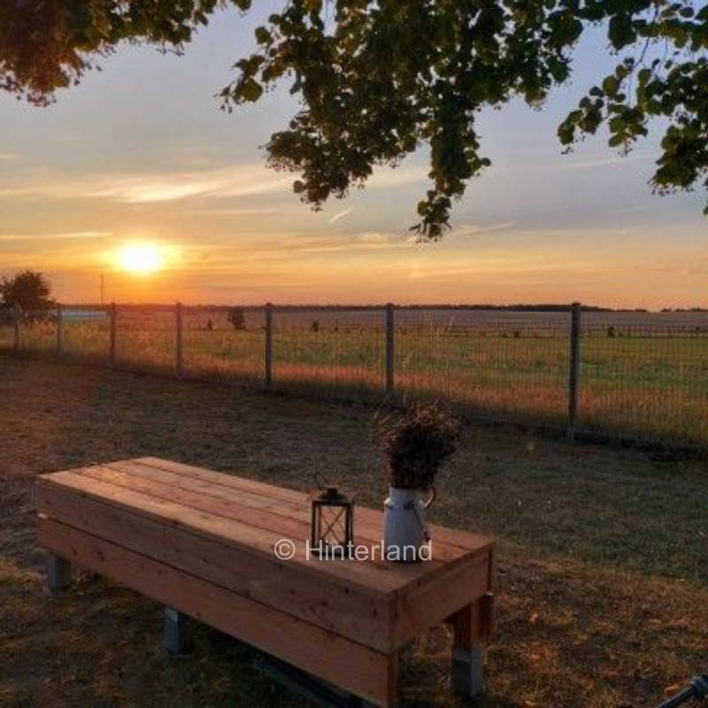 Ellis wilder Blick... Auszeit im Grünen