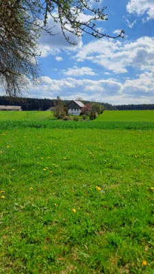 Right in the middle of the Black Forest without frills