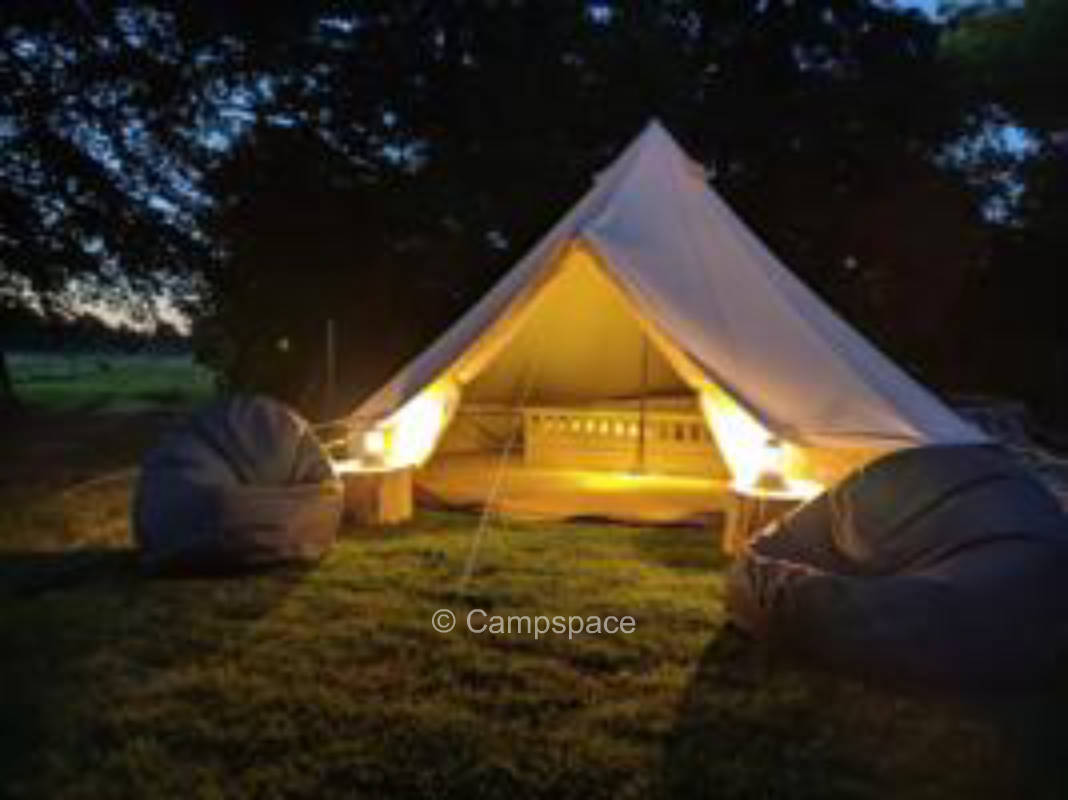Schönes Grasland zwischen Bäumen auf einem Biobauernhof (Campspace 3155)