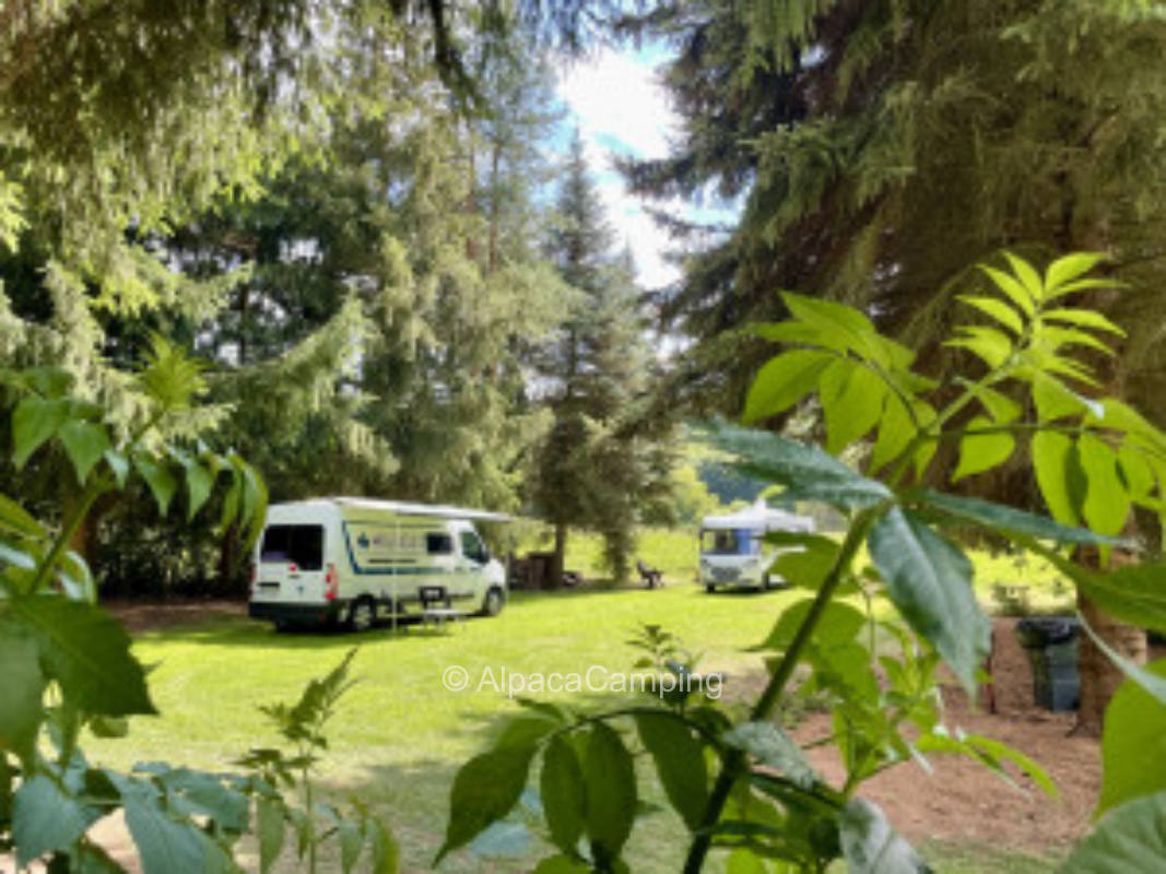 Pitch near the river #1