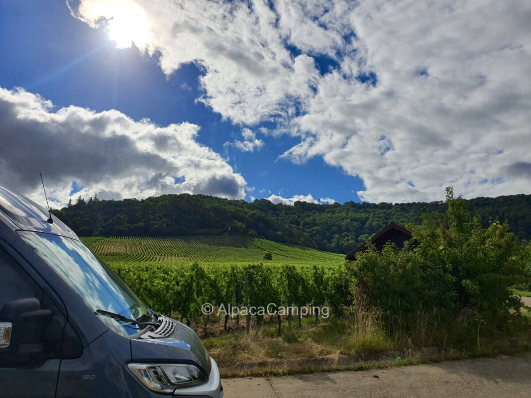 At the vineyard with a far view at the Steigerwald