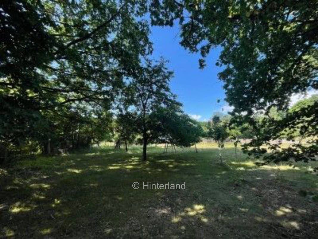 Camping mit Schwimmteich