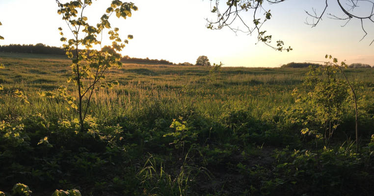 Wiese in 30 Seelen Dorf inmitten der Königshainer Berge