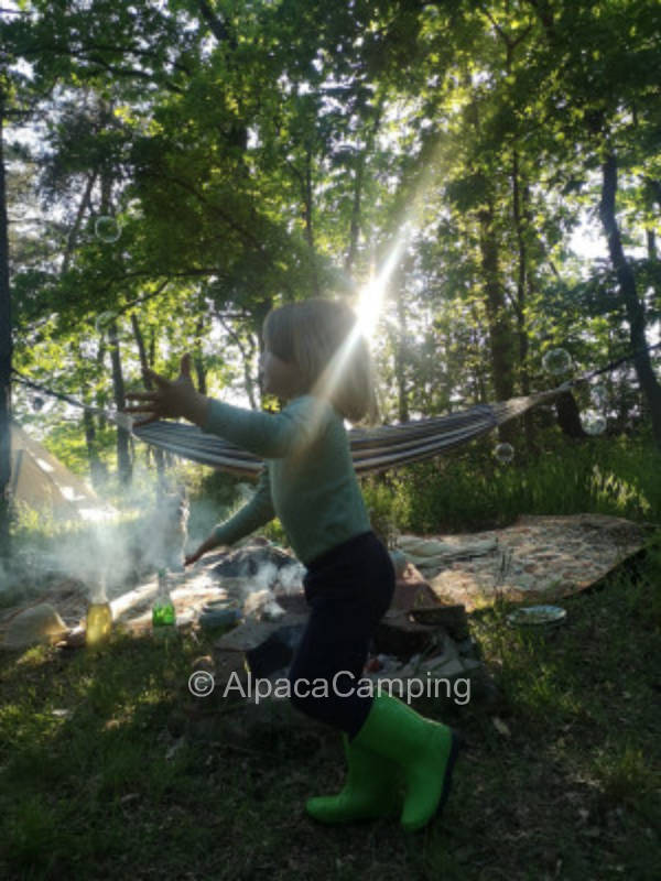 Forest fairy nature camping