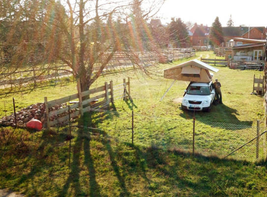 Morgenröte (Campspace 5572)