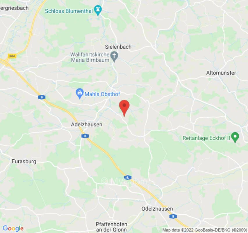 Campen mit tierisch guten Nachbarn