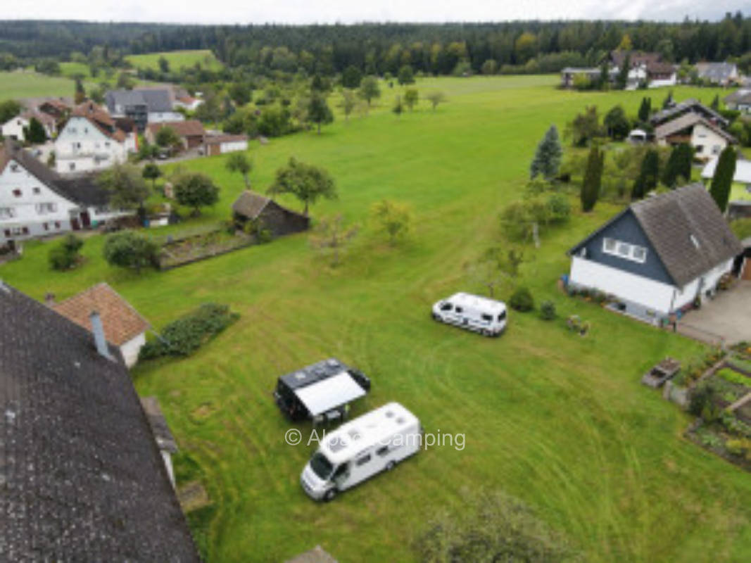 Auf unserer Blumenwiese hinterm Bauernhaus #2