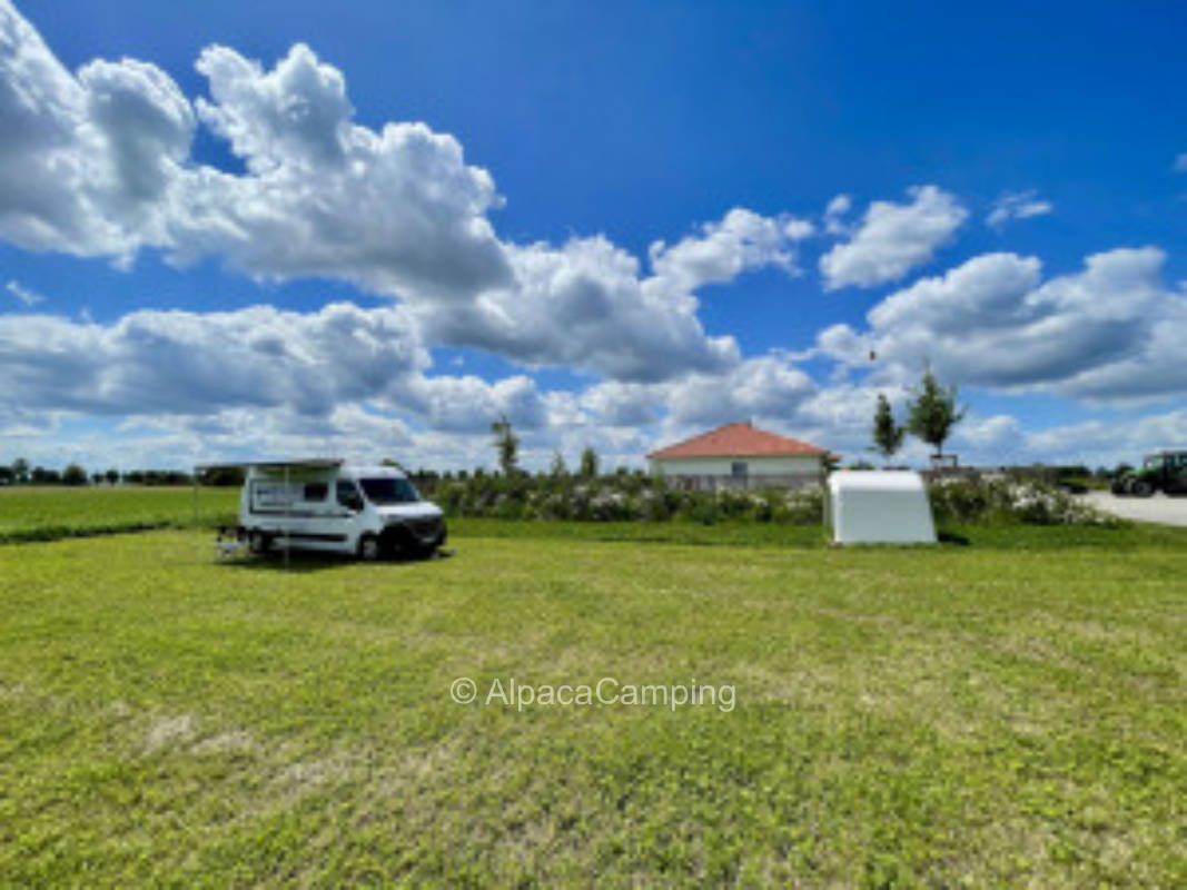 Idyllic time out on the farm #3
