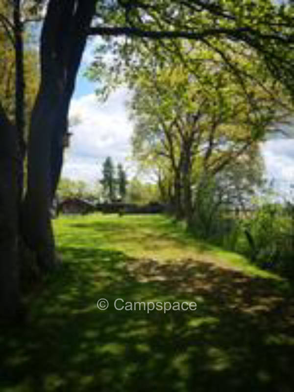 Natural meadow near Schwerin