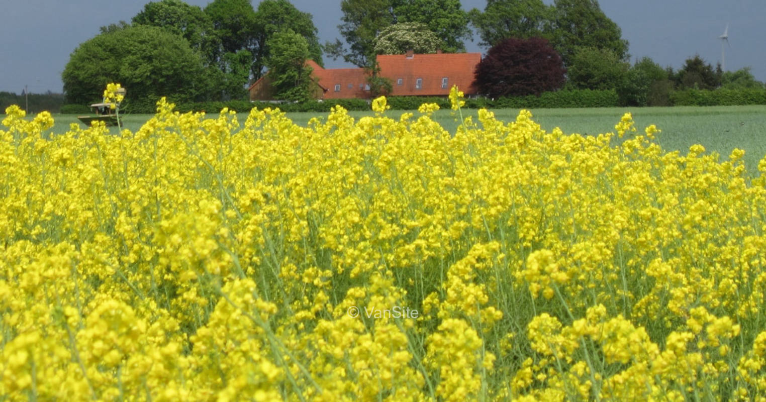 Der Archehof - Entspannen an der Streuobstwiese