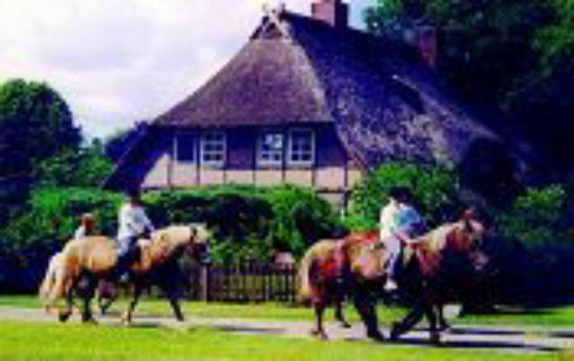 Cohrs Equestrian and Holiday Farm