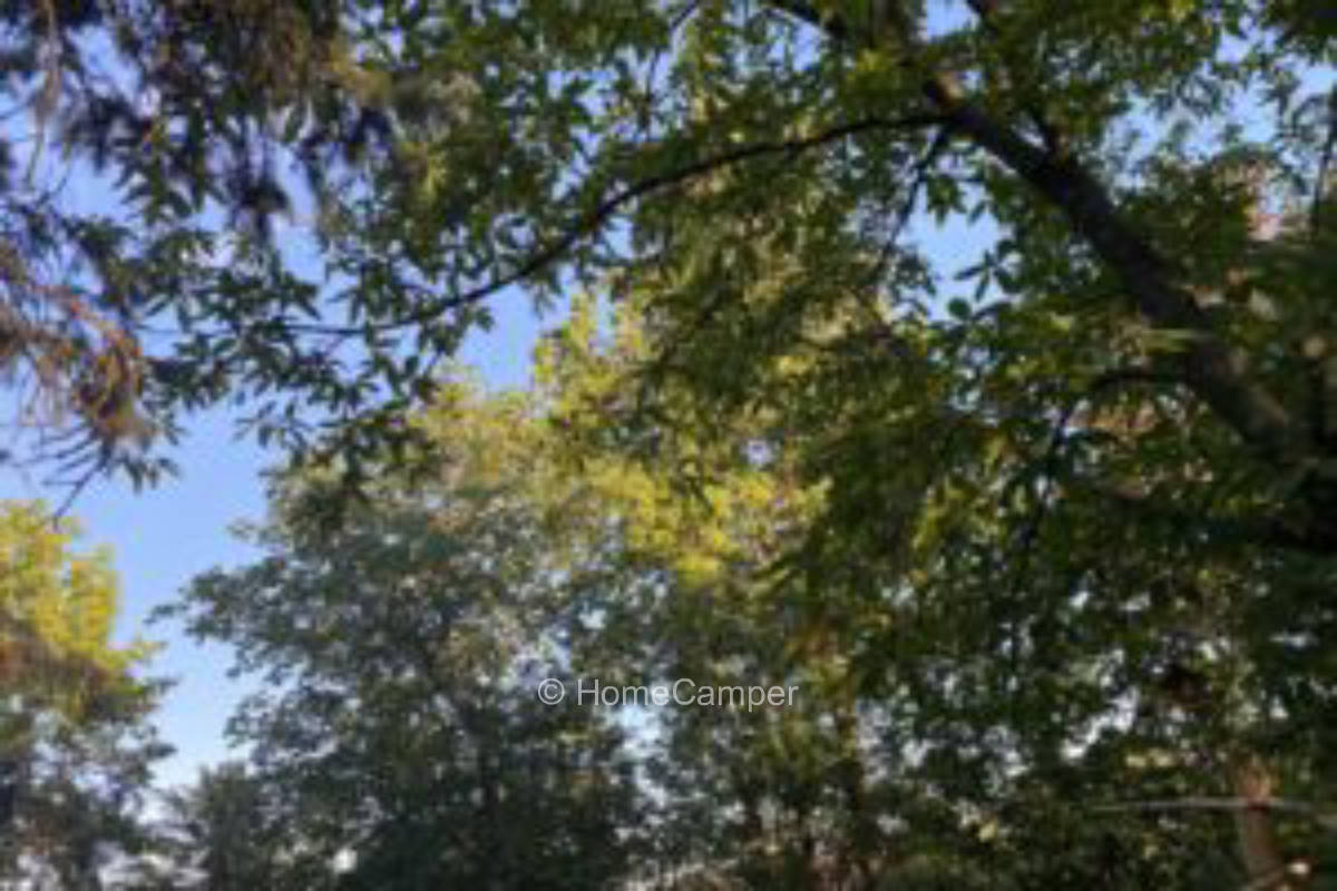 Private place in Adelsdorf