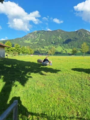 Peaceful meadow entrance by the stream