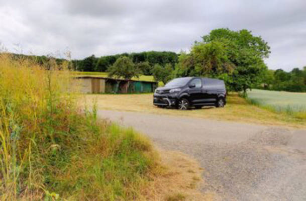 Auf der Obstbaum-Wiese inmitten von Feldern
