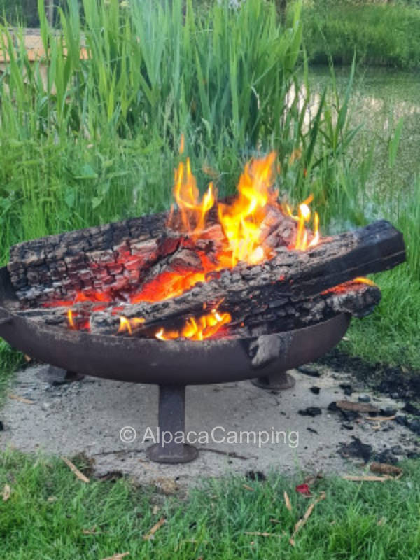 Time out in the country - dogs welcome #2