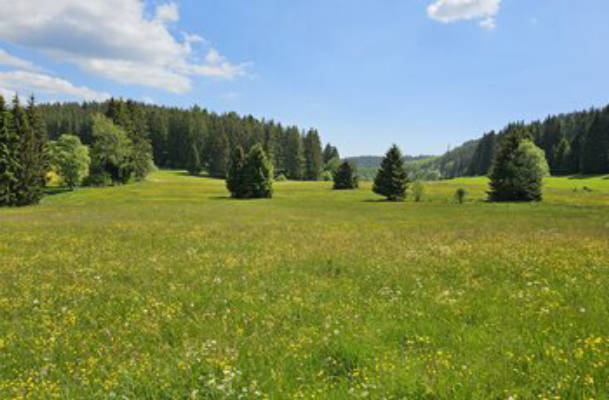 At Kähnermoos (double for 633924)