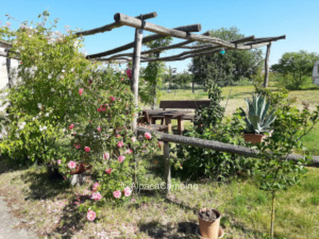 Pitch on the eco farm #2