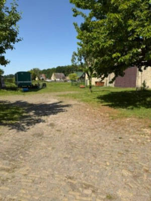 Idylle unter Kirschbäumen: Ruhiges Hof-Camping