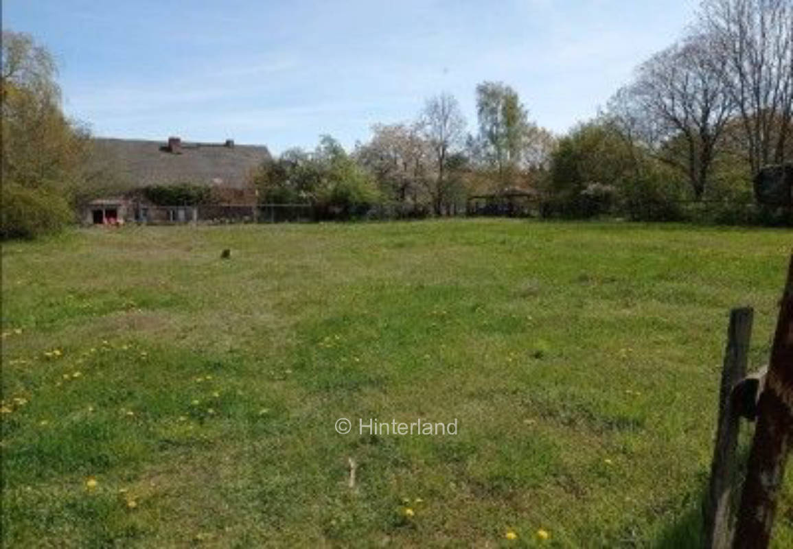 Stellplatz mit Blick in die Natur 