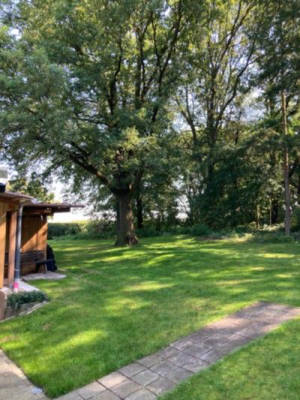 Wiese am Waldrand - ideal für Hundebesitzer
