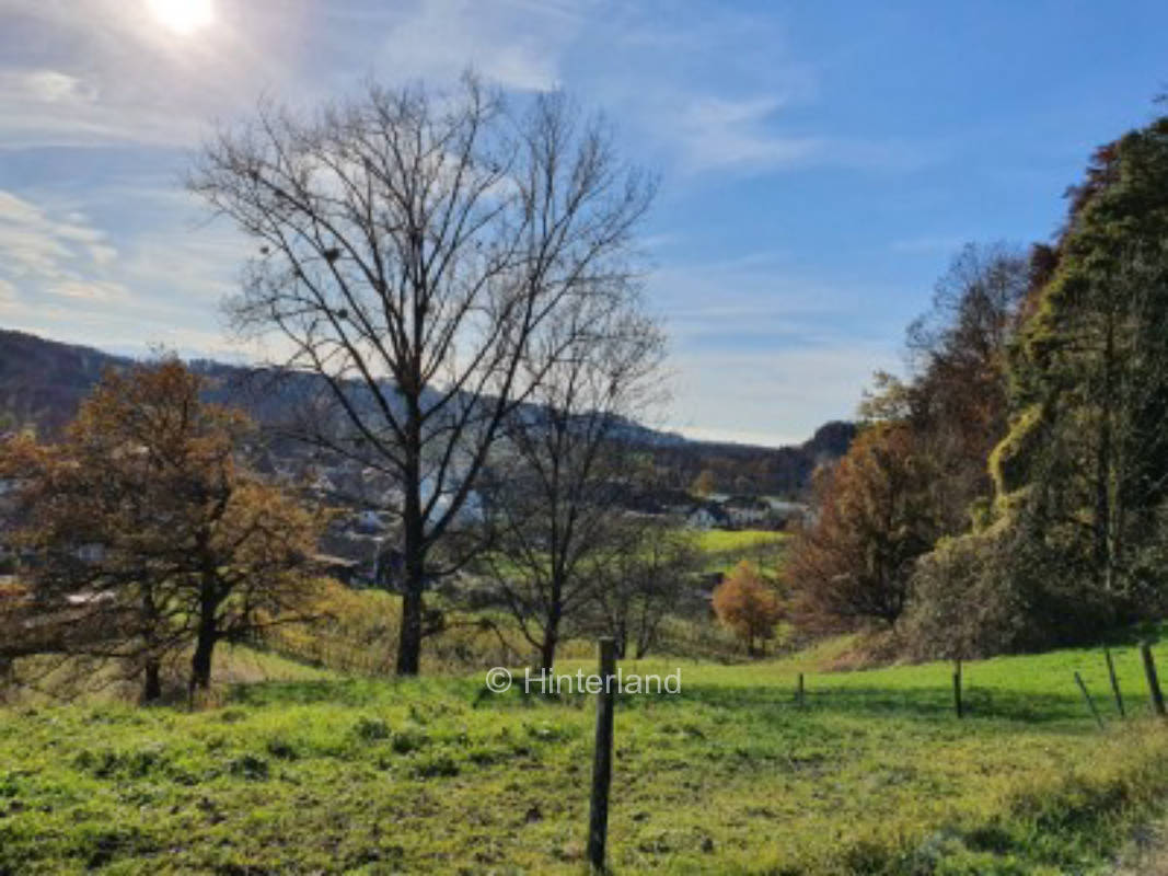 Zwischen Obst und Hopfen im Bodensee-Hinterland, privater Stellplatz