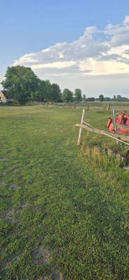 Idyllischer Wiesen-Stellplatz im Grünen 