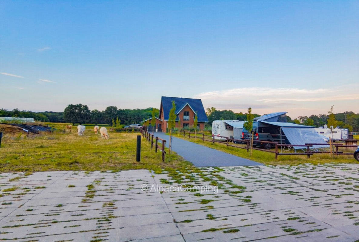 Pitch on a farm with farm store - Camping in Bocholt #3