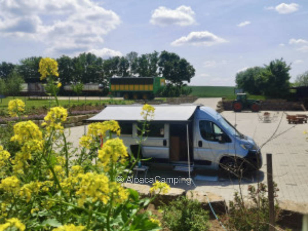 Stellplatz Maintalblick #2